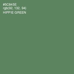 #5C845E - Hippie Green Color Image